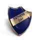 FATHERS DAY Blue Retro School Shield Pin Badge