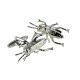 Crawling Cricket Insect Design Cufflinks
