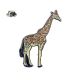 Giraffe Safari Zoon Animal Metal and Enamel Lapel Pin Badge