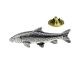 Barbel Fish Pewter Lapel Pin Badge