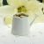 Ivory Mini Decorative Watering Can